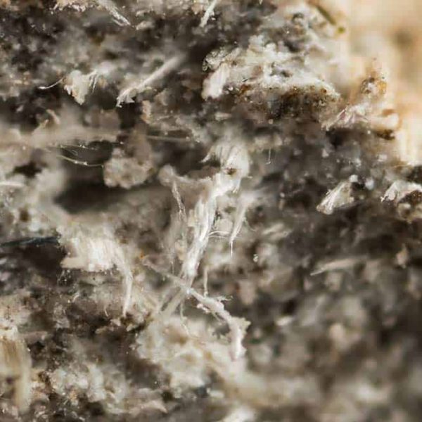 Asbestos fibres close up